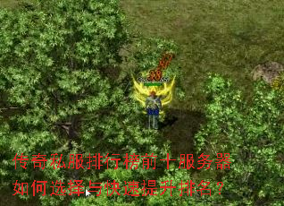 传奇私服排行榜前十服务器如何选择与快速提升排名? 传奇私服排行榜前十服务器如何选择与快速提升排名?