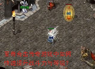 至尊合击传奇游戏中如何快速提升战斗力与等级? 至尊合击传奇游戏中如何快速提升战斗力与等级?