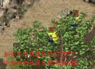 新手如何快速登顶沙巴克?中变传奇私服发服网全攻略 新手如何快速登顶沙巴克?中变传奇私服发服网全攻略