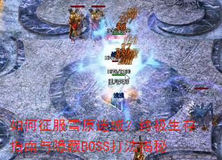 �������ѩԭ�Գǣ��ռ�����ָ��������BOSS�򷨽���