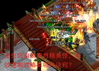 ��ʧ���ˢ���¾�Ӣ�֣���Ч��ˢ��������Щ���ϣ�