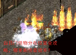�����Ź���ֲ�λ��ȫ���ԣ�����ˢ����Ч�ʣ�