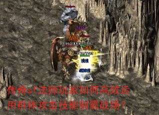 ����sf��ʦ�����θ�Ч����Ⱥ�幥�������ư�ս����