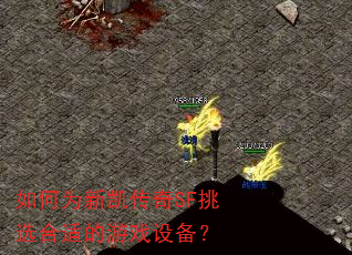 ���Ϊ�¿�����SF��ѡ���ʵ���Ϸ�豸��