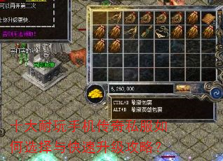 ʮ�������ֻ�����˽�����ѡ��������������ԣ�