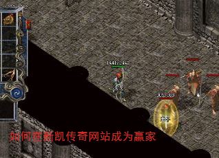 ������¿�������վ��ΪӮ��