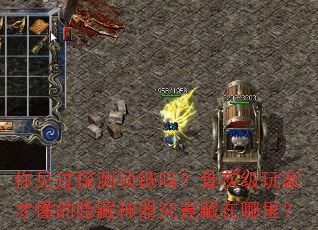 你见过探测项链吗?骨灰级玩家才懂的隐藏神器究竟藏在哪里? 你见过探测项链吗?骨灰级玩家才懂的隐藏神器究竟藏在哪里?