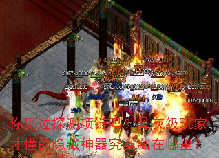 你见过探测项链吗?骨灰级玩家才懂的隐藏神器究竟藏在哪里? 你见过探测项链吗?骨灰级玩家才懂的隐藏神器究竟藏在哪里?