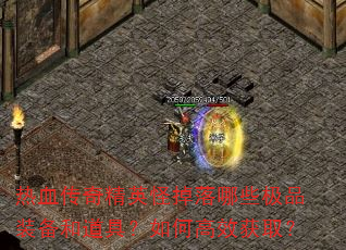 热血传奇精英怪掉落哪些极品装备和道具?如何高效获取? 热血传奇精英怪掉落哪些极品装备和道具?如何高效获取?