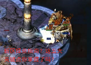 新区择业指南?这五大关键点你掌握了吗? 新区择业指南?这五大关键点你掌握了吗?