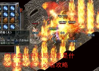 ����Ѫ����˽��������ʲô��˼�����ֱؿ�����