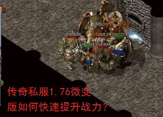 ����˽��1.76΢�����ο�������ս����