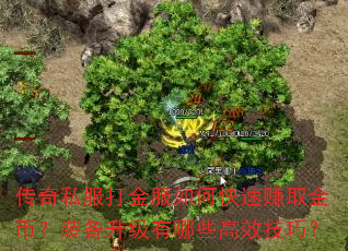 传奇私服打金服如何快速赚取金币?装备升级有哪些高效技巧? 传奇私服打金服如何快速赚取金币?装备升级有哪些高效技巧?