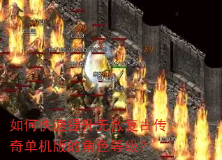 如何快速提升无赦复古传奇单机版的角色等级? 如何快速提升无赦复古传奇单机版的角色等级?