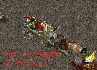 ���Ӧ��ɳ��ս���е��˵Ķ���ս����