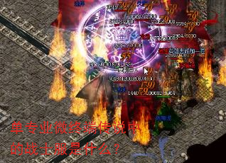 ��רҵ΢�ն˴�˵�е�սʿ����ʲô��