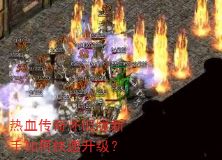 ��Ѫ���滳�ɰ�������ο���������