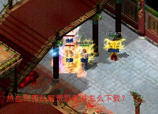 ��Ѫ����˽����Ұ�Ҷ���ô���أ�