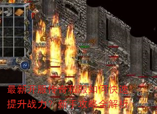 ���¿�������˽����ο�������ս�������ֹ���ȫ����