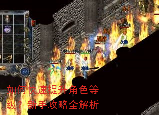 如何快速提升角色等级?新手攻略全解析 如何快速提升角色等级?新手攻略全解析