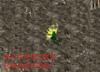 ���Ŵ�����ʧ����ο��������ȼ���