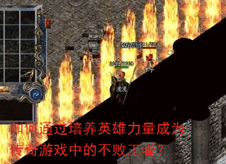 ���ͨ������Ӣ��������Ϊ������Ϸ�еĲ������ߣ�