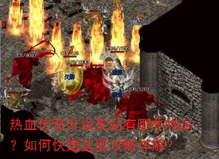 热血传奇升级奖励有哪些物品?如何快速获取攻略详解? 热血传奇升级奖励有哪些物品?如何快速获取攻略详解?