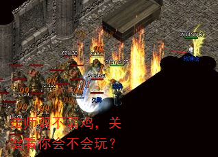 法师弱不弱鸡,关键看你会不会玩? 法师弱不弱鸡,关键看你会不会玩?