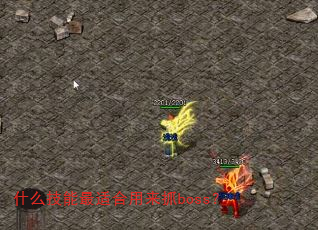 ʲô�������ʺ�����ץboss��
