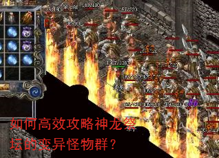 ��θ�Ч����������̳�ı������Ⱥ��