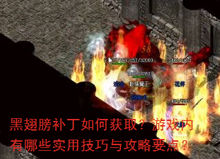 黑翅膀补丁如何获取?游戏内有哪些实用技巧与攻略要点? 黑翅膀补丁如何获取?游戏内有哪些实用技巧与攻略要点?