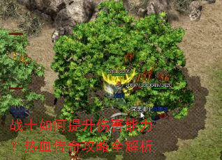 սʿ��������˺���������Ѫ���湥��ȫ����