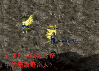 ��δ��찵�ڴ����е��޵�Ұ���ˣ�