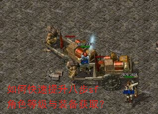 如何快速提升八步sf角色等级与装备获取? 如何快速提升八步sf角色等级与装备获取?