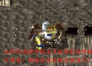 如何快速提升斩龙无赦单职业传奇角色等级?有哪些高效刷装备技巧? 如何快速提升斩龙无赦单职业传奇角色等级?有哪些高效刷装备技巧?