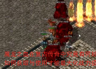 ħ��֮Ѫ�ڸ��Ŵ����о����к����ã���λ�ȡ��ʹ�ò������ս��������