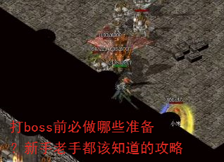��bossǰ������Щ׼�����������ֶ���֪���Ĺ���