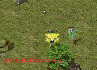 ��ο���׬ȡ8000000Ԫ����