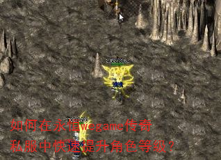 如何在永恒wegame传奇私服中快速提升角色等级? 如何在永恒wegame传奇私服中快速提升角色等级?