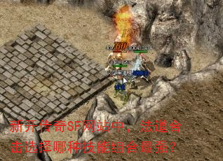 �¿�����SF��վ�У������ϻ�ѡ�����ּ��������ǿ��
