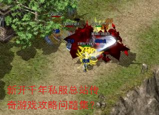 �¿�ǧ��˽����վ������Ϸ�������⼯��
