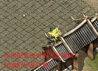 ������ô�����˼�����ISDUMMY��ǩ���ܣ�