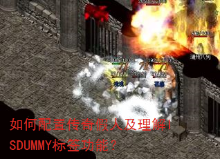 ������ô�����˼�����ISDUMMY��ǩ���ܣ�