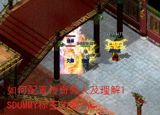 ������ô�����˼�����ISDUMMY��ǩ���ܣ�