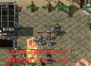 传奇私服sf鑫锋发布网新手如何快速提升战力与装备? 传奇私服sf鑫锋发布网新手如何快速提升战力与装备?