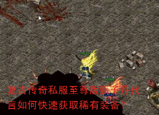 复古传奇私服至尊版甄子丹代言如何快速获取稀有装备? 复古传奇私服至尊版甄子丹代言如何快速获取稀有装备?