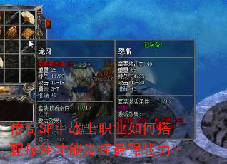 传奇SF中战士职业如何搭配技能才能发挥最强战力? 传奇SF中战士职业如何搭配技能才能发挥最强战力?