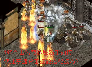 195ϻ˽οպϻܴ似ɣ