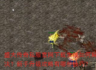 盛大传奇私服官网下载失败如何解决?新手升级攻略有哪些技巧? 盛大传奇私服官网下载失败如何解决?新手升级攻略有哪些技巧?