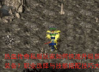 Ѫ˽οȡƷװְҵѡ뼼ܴ似ɴ